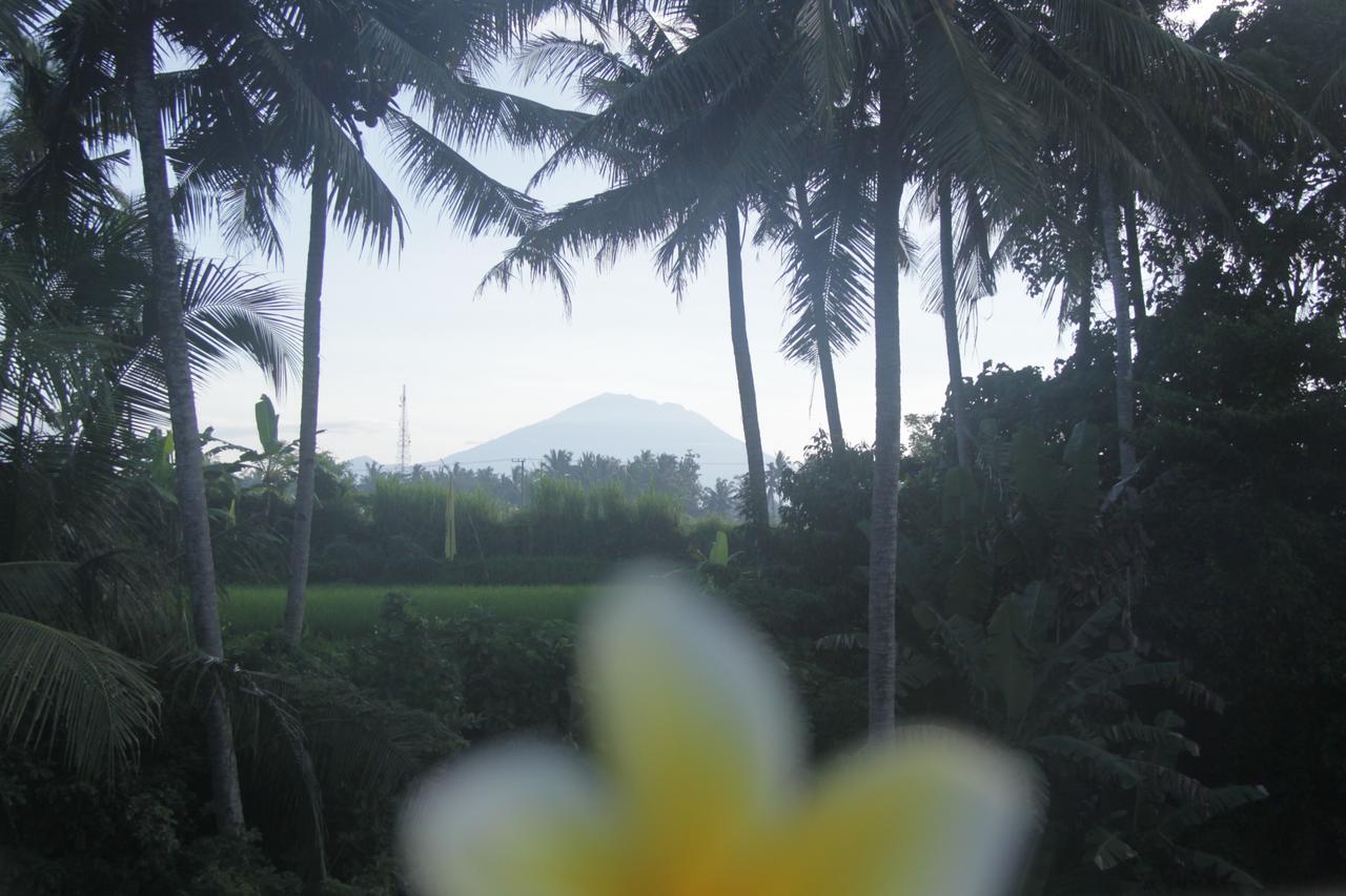Tri Hita Karana House Hotel Mas  Exterior photo
